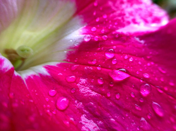 After the rain 2 von Giulio Catena