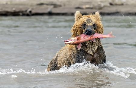 Fishing