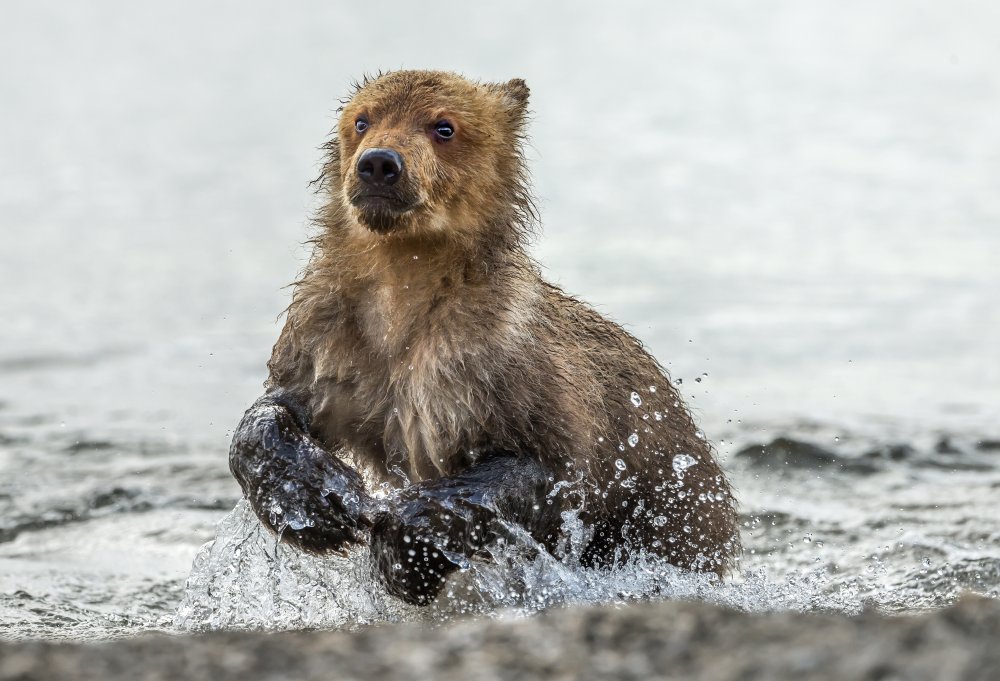 Ran into the water von Giuseppe DAmico