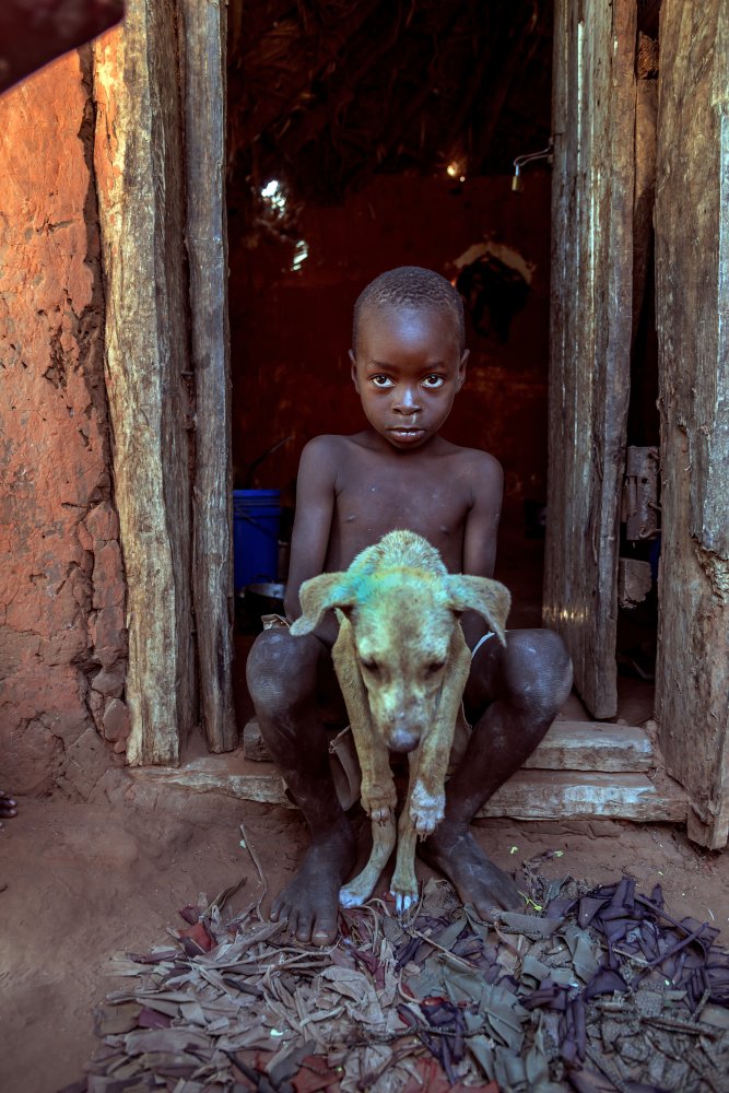 The child and the dog von Giuseppe DAmico