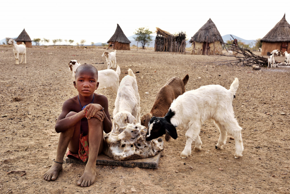 The child and the goats von Giuseppe DAmico