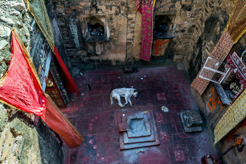 In a small Indian temple von Giuseppe DAmico