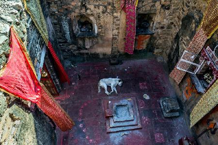 In a small Indian temple