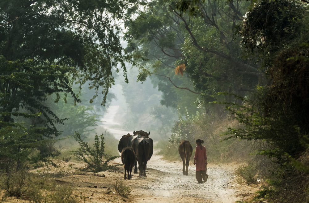 On the road von Giuseppe DAmico