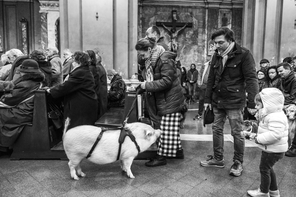 In the church with pets von Giuseppe Grimaldi