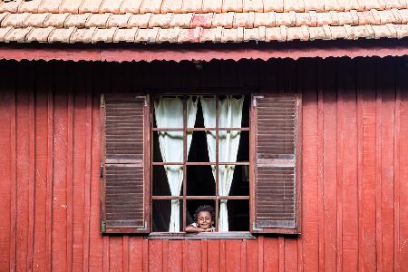 Mekdi in the window frame