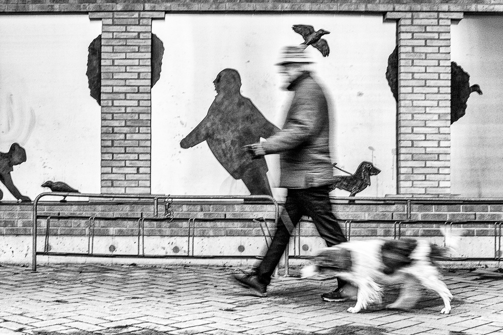 Dog walkers von Goran Johansson