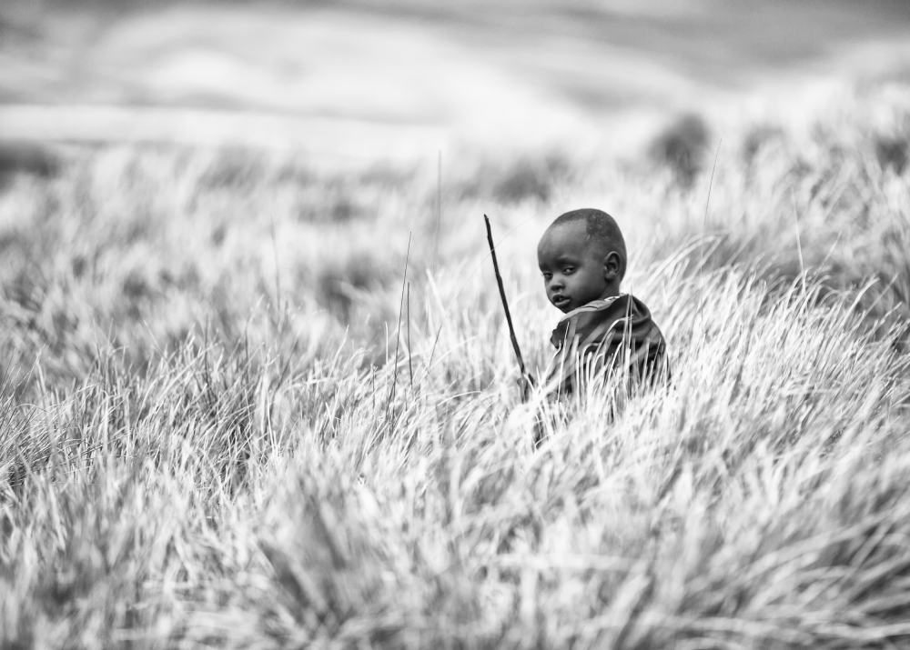 Little big fellow von Goran Jovic