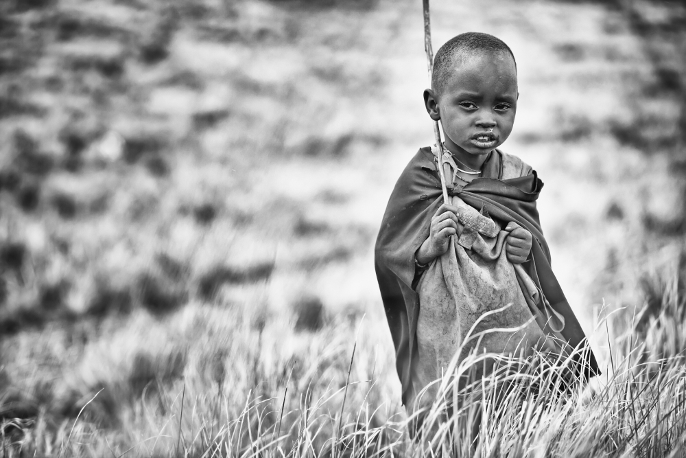 Little Shepherd von Goran Jovic