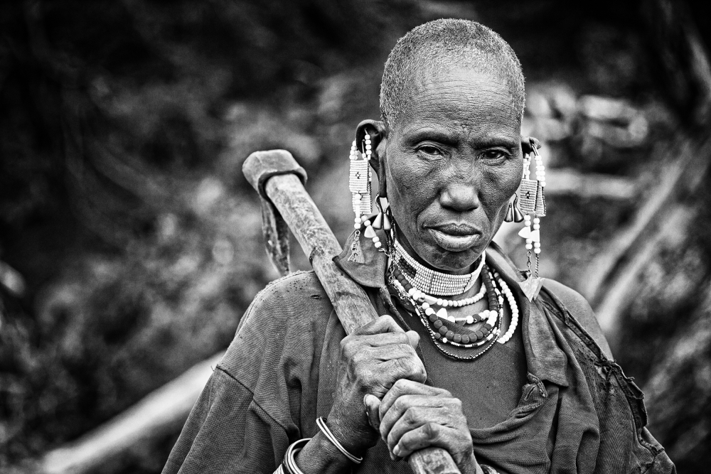 Forest Lady in Acacia Valley von Goran Jovic