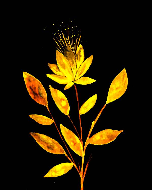 Goldene Feuerblume von Sebastian  Grafmann