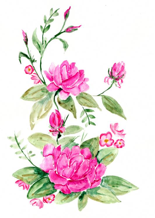 Rosa Rosen Ornament von Sebastian  Grafmann