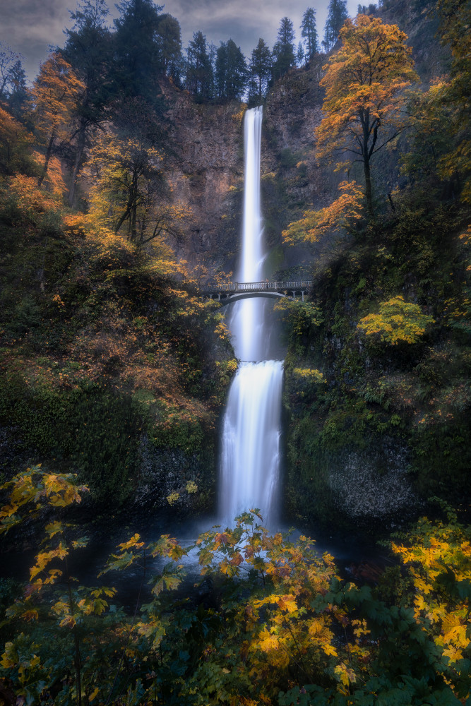 Multnomah Falls: When Silver Meets Gold von Grant Hou