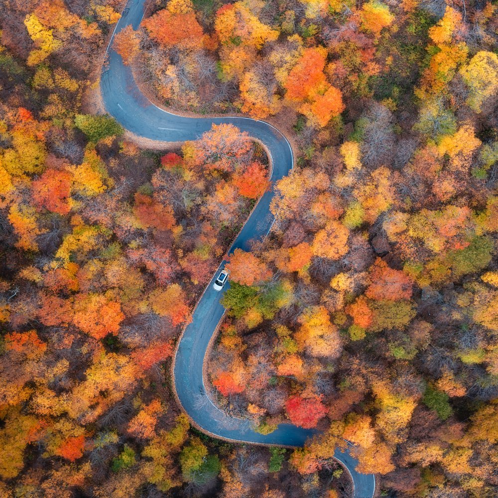 Vermont: Through the Fall von Grant Hou