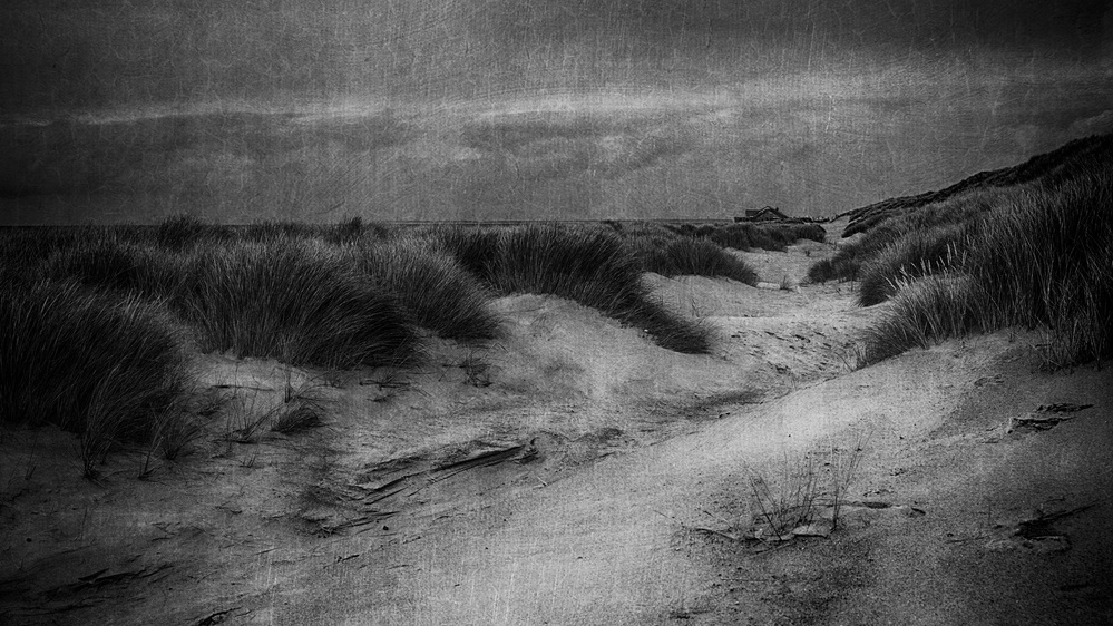 Between the dunes von Greetje Van Son