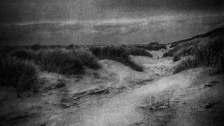 Between the dunes