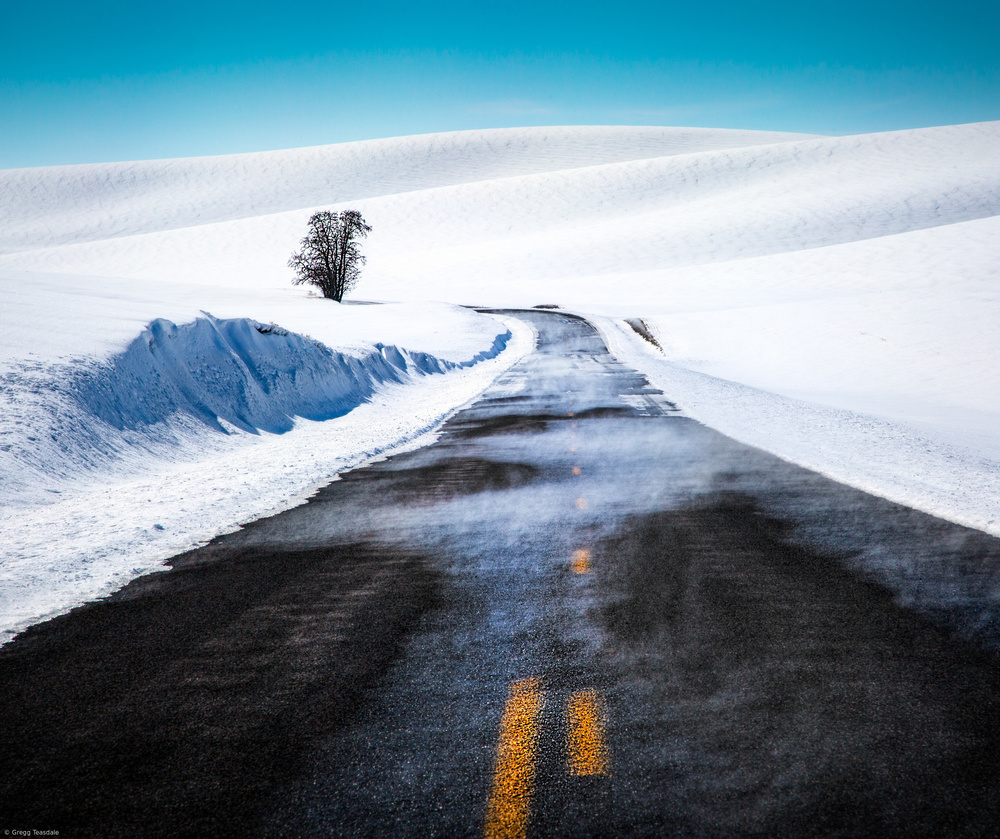 Palouse Road in Winter von Gregg Teasdale