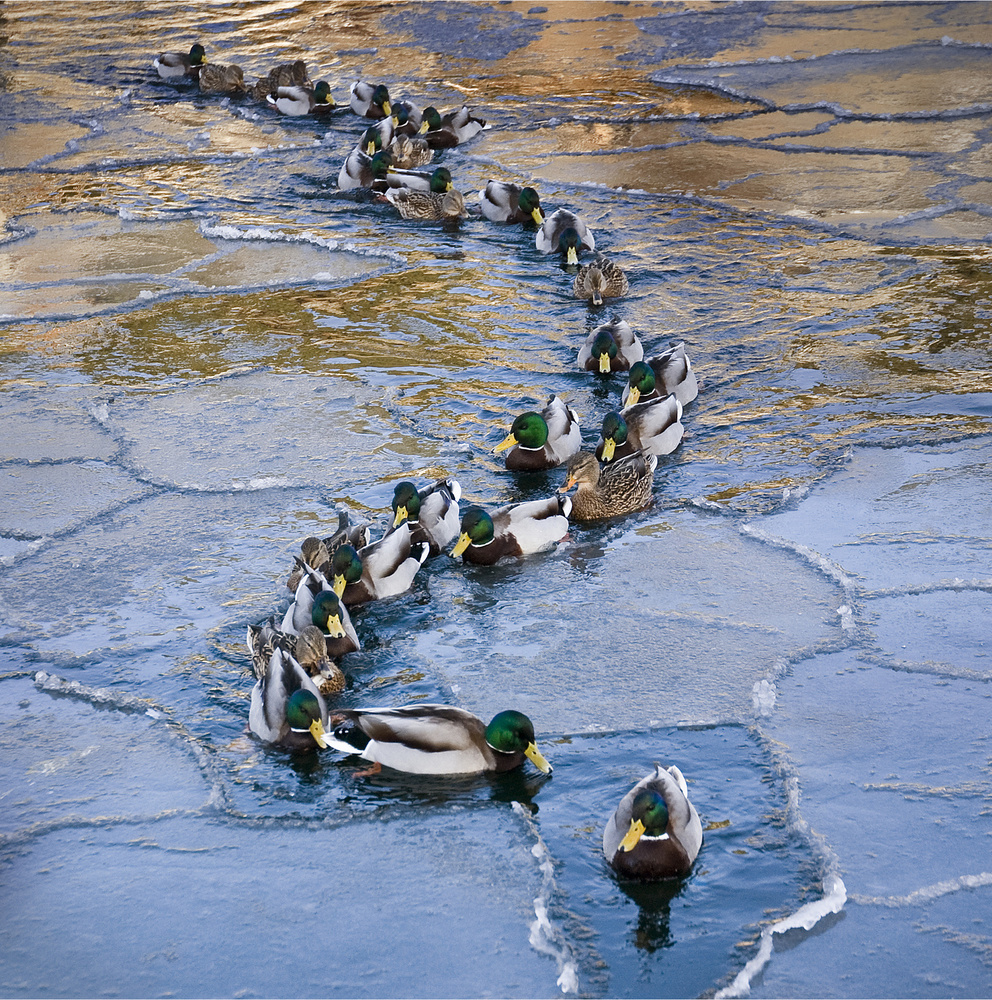 In a row von Grethe Stene