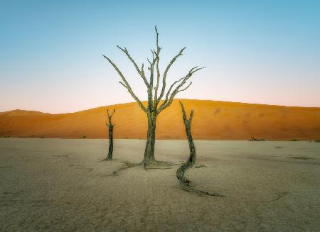 Deadvlei