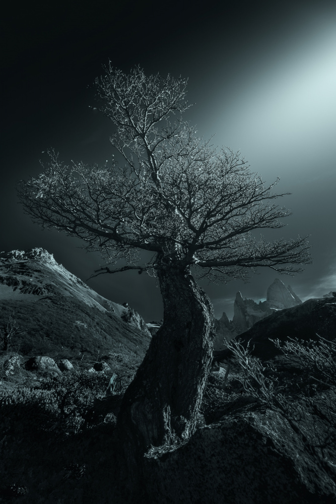 The tree accompanied by mountains von Gu and Hongchao