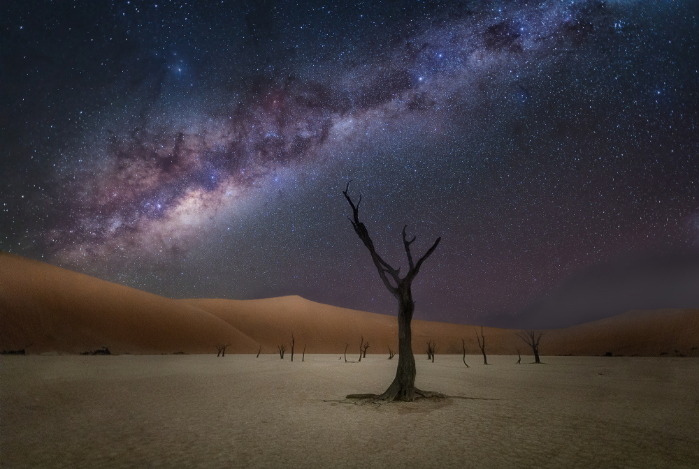 The Milkyway at Deadlvei von Gu and Hongchao