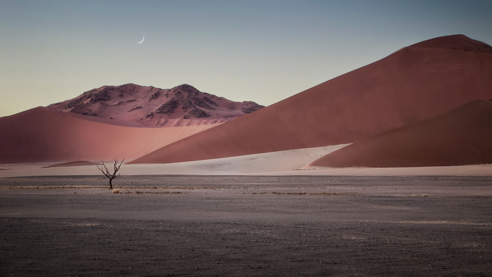 Sand dune in Namibia von Gu and Hongchao