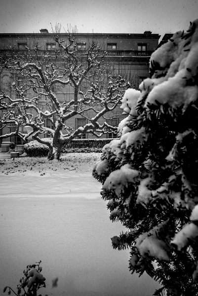 Frick Collection Winter N¬∫1 von Guilherme Pontes