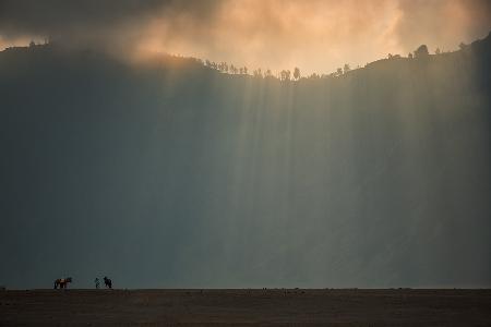 Light Shower