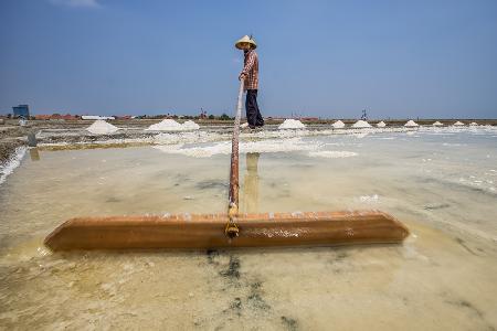 Salt farmer