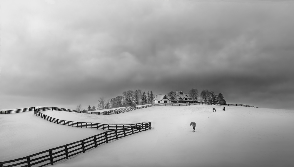 HorseFarm von GuoJi