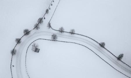 Winter Horse Farm