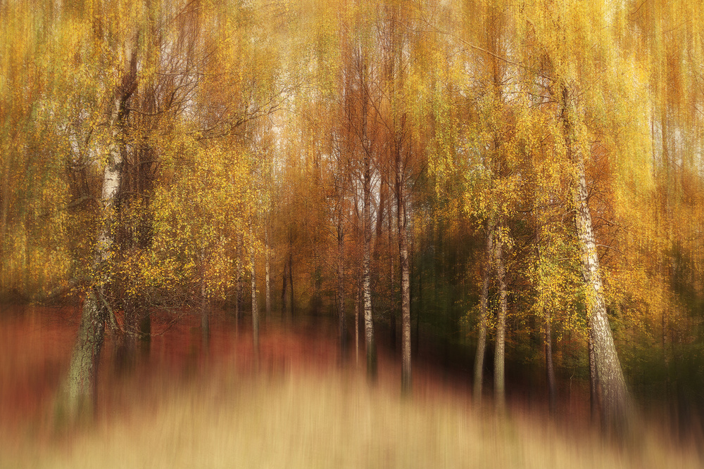 Autumn Impression von Gustav Davidsson