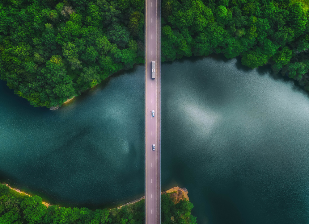 the bridge von Guy Krier