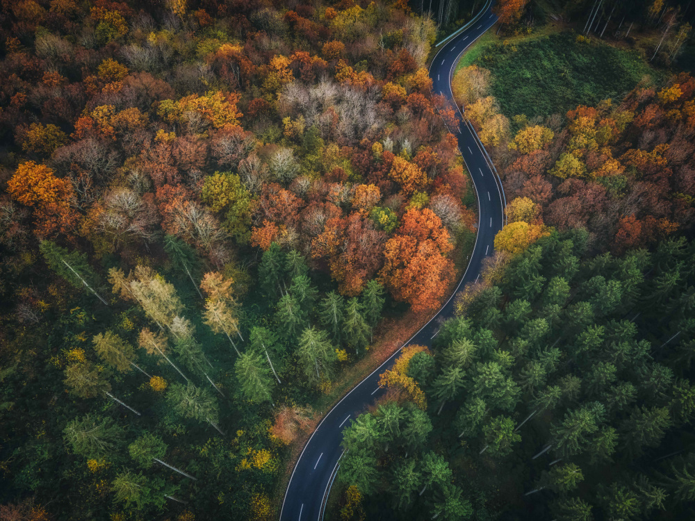 Autumn Road von Guy Krier