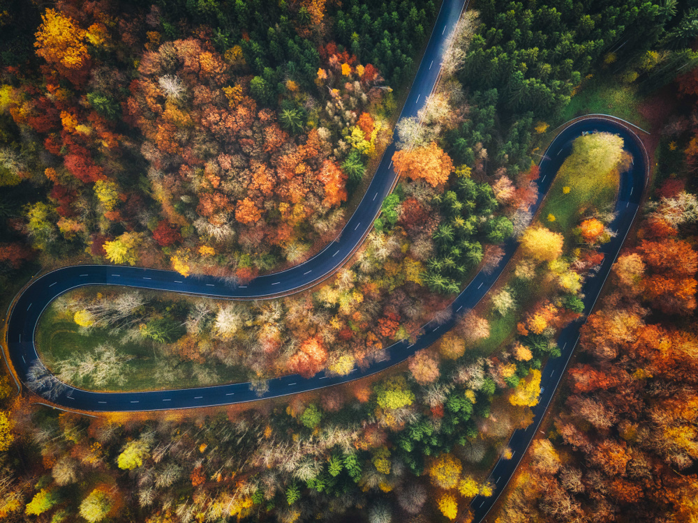 Autumn Road von Guy Krier