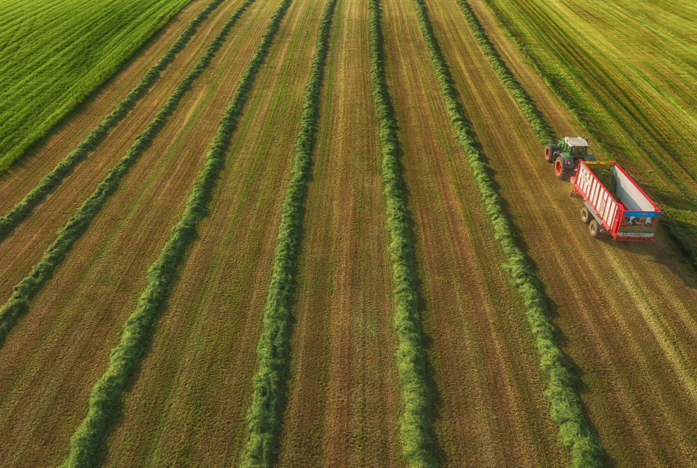 farming von Guy Krier