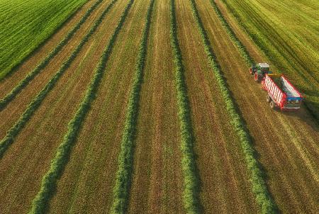 farming