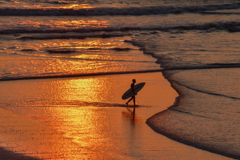 The Sunset Surfer von Guy Wilson