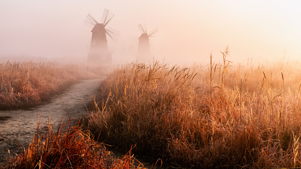 Morning mist von Gwangseop Eom