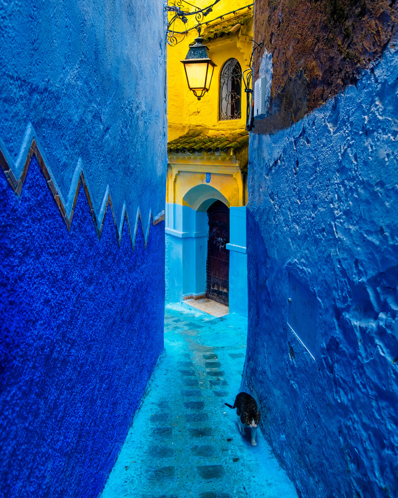 Blue and Yellow von Hadi AlSinan