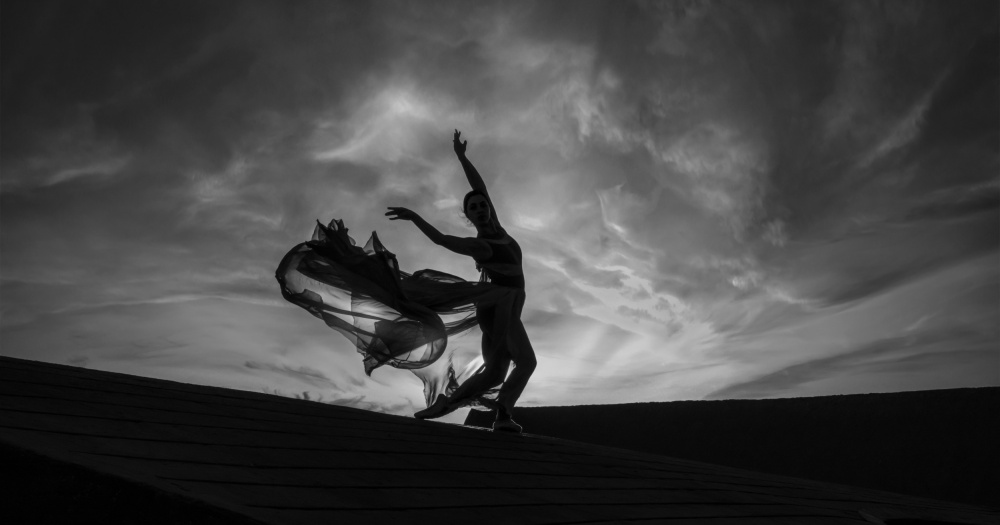 dance in black and white von haim ohayon