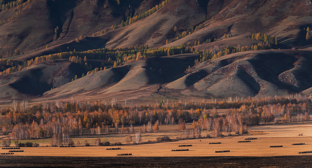 Haystacks von Haim Rosenfeld