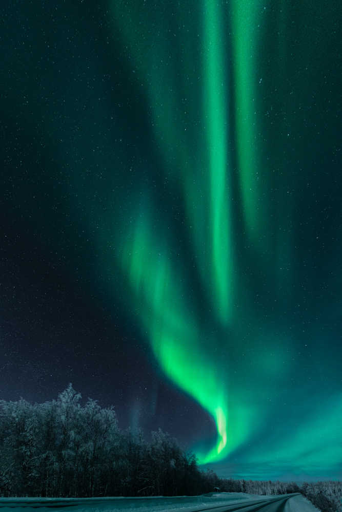 Polar lights von Haim Rosenfeld