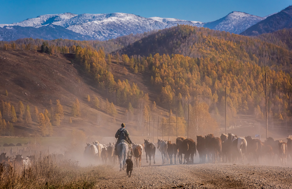 Road dust von Haim Rosenfeld