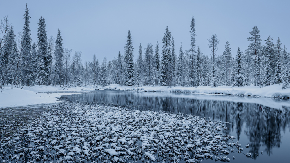 Winter calmness von Haim Rosenfeld