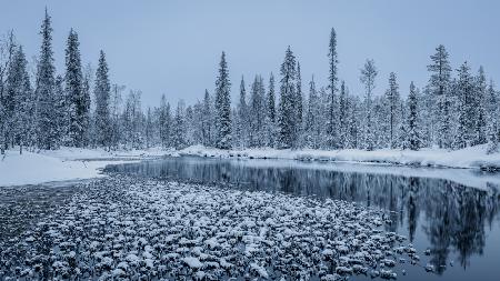 Winter calmness