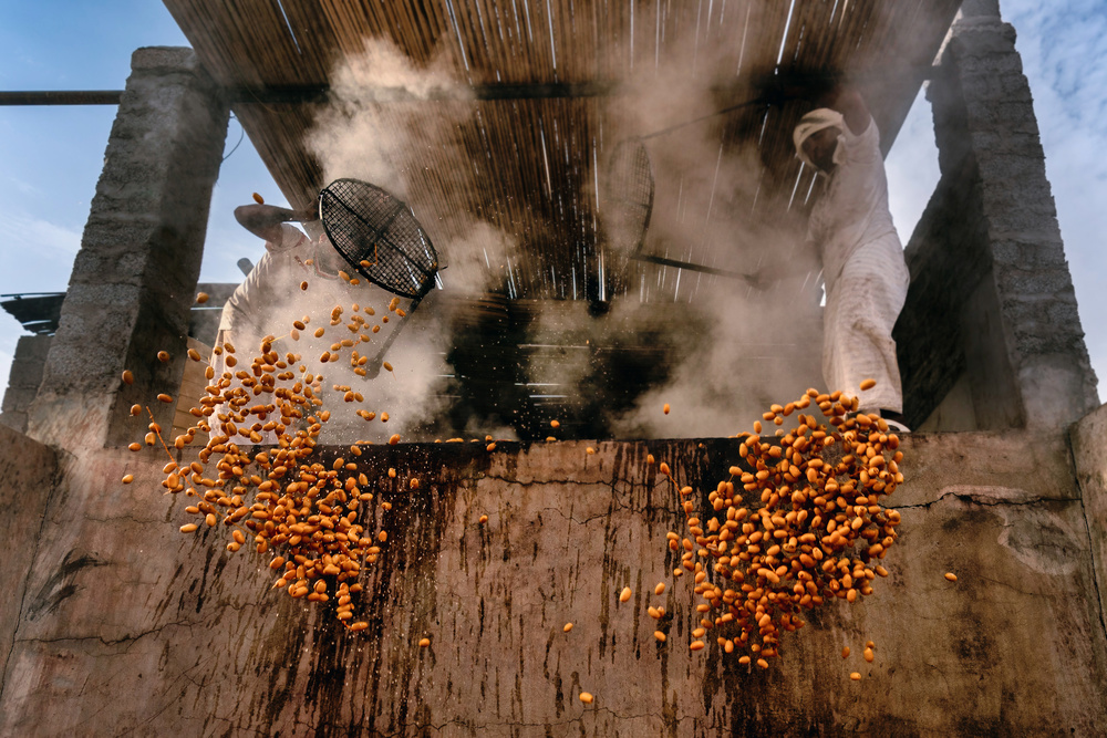 Dates Harvest von Haitham AL Farsi