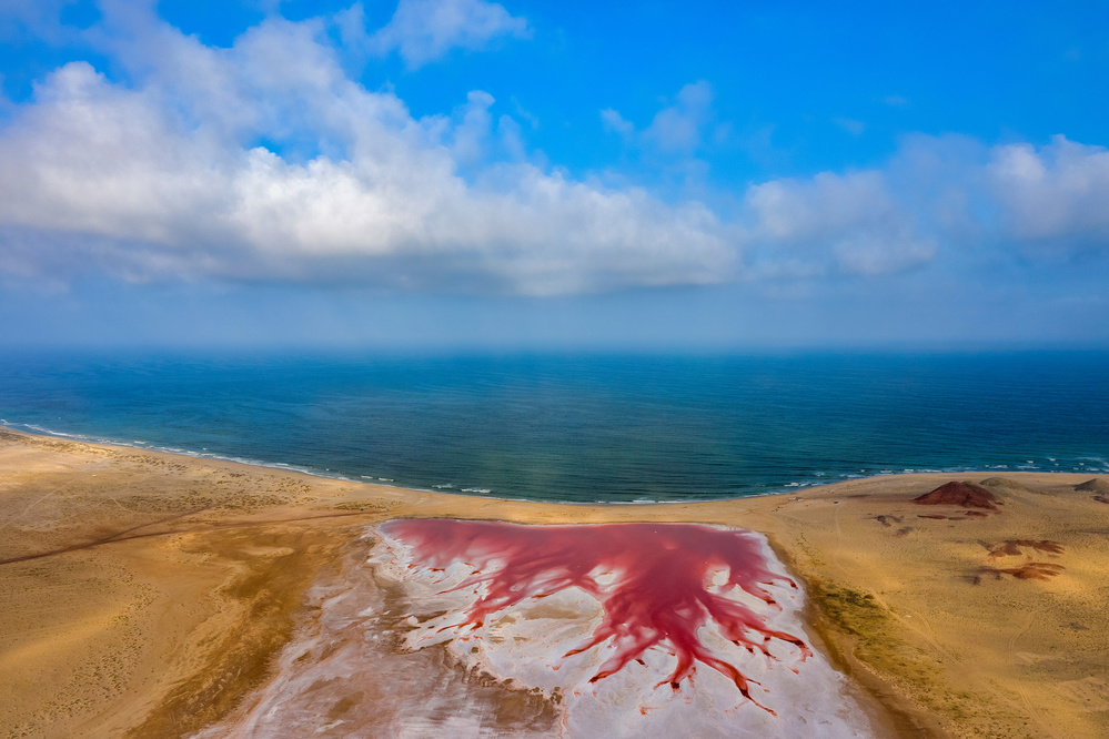 Pink Lake von Haitham AL Farsi