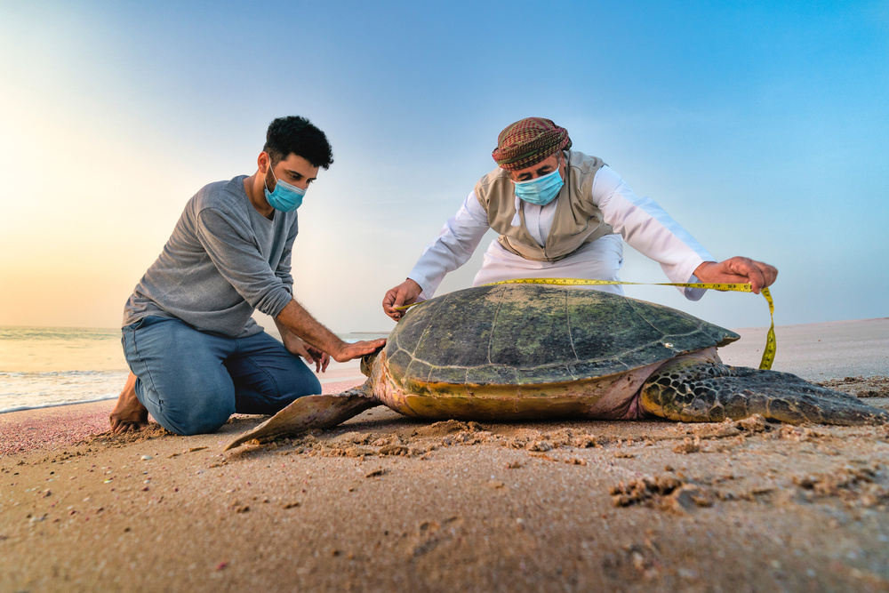 Protecting Turtles von Haitham AL Farsi