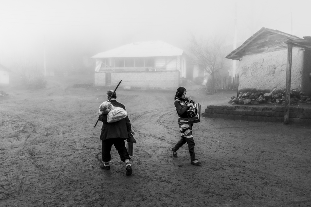 rural life von Hamed Akhen